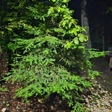 Lodge Vikendica Kozara *